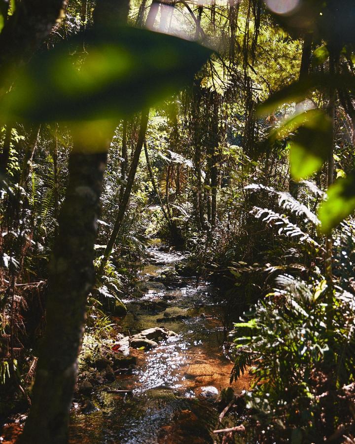 Pousada Do Cedro Santo Antônio do Pinhal Exteriér fotografie